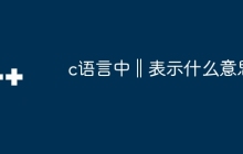 c语言中‖表示什么意思