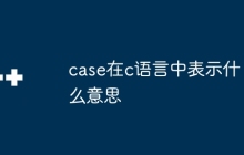 case在c语言中表示什么意思