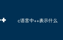 c语言中++表示什么