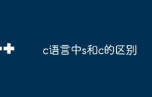 c语言中s和c的区别