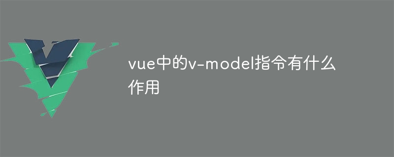 vue의 v-model 지시어는 무엇을 합니까?