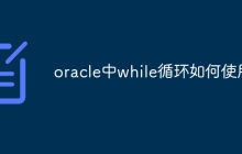 oracle中while循环如何使用