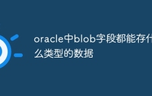 oracle中blob字段都能存什么类型的数据