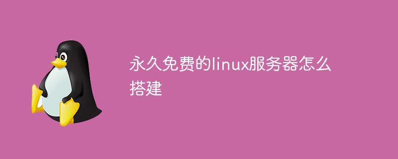 영구 무료 Linux 서버를 구축하는 방법