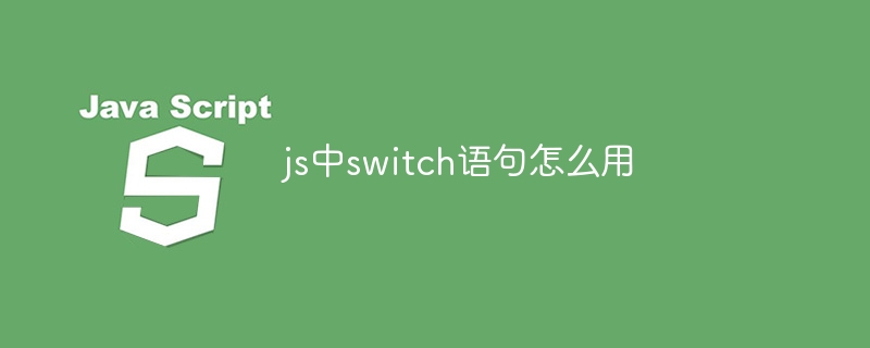 js中switch语句怎么用