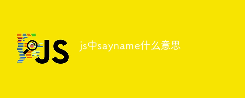 js에서 sayname은 무엇을 의미합니까?