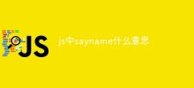 What does sayname mean in js