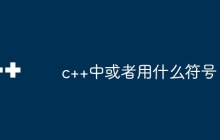 c++中或者用什么符号