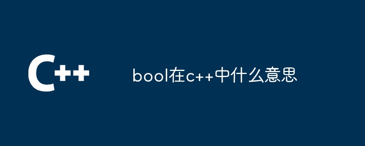 What does bool mean in c++