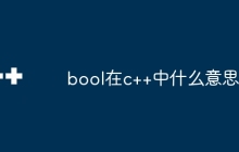 bool在c++中什么意思