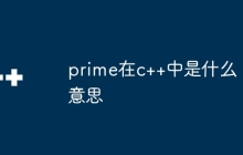prime在c++中是什么意思