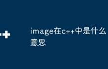 image在c++中是什么意思