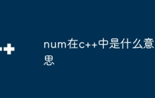 num在c++中是什么意思