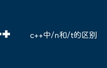 c++中/n和/t的区别