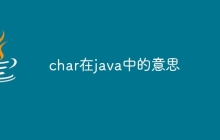 char在java中的意思