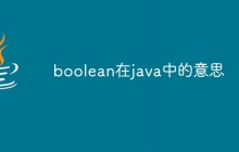 boolean在java中的意思