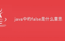 java中的false是什么意思