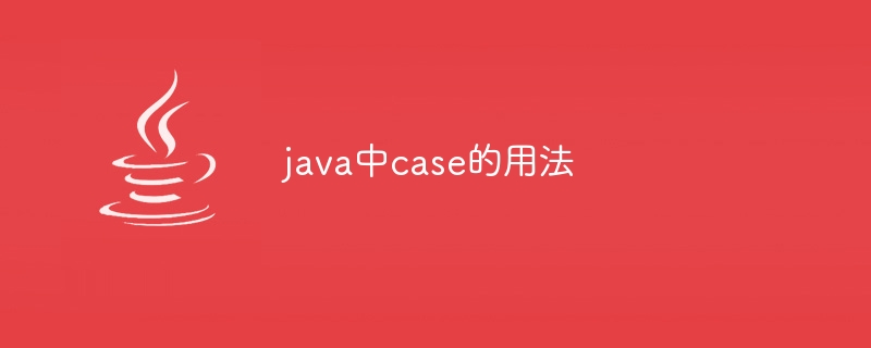 How to use case in java-javaTutorial-php.cn