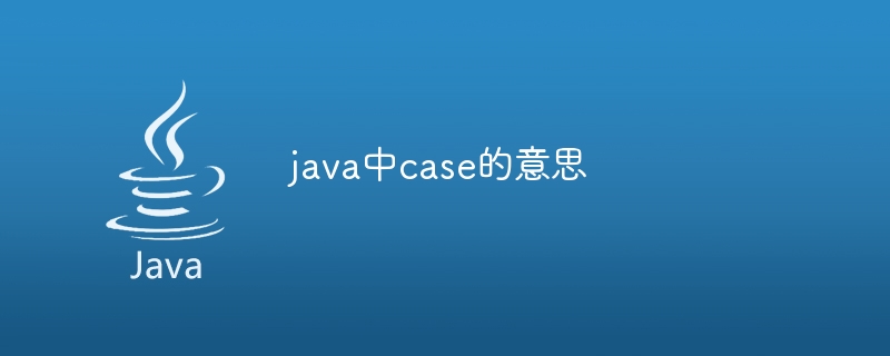 The meaning of case in java