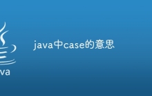 java中case的意思