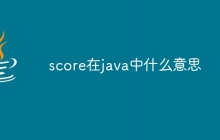 score在java中什么意思