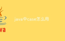 java中case怎么用