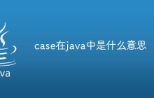 case在java中是什么意思