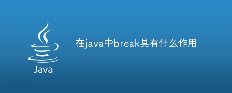 What is the role of break in java