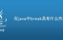 在java中break具有什么作用