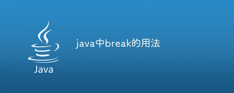 How to use break in java