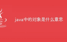 java中的对象是什么意思