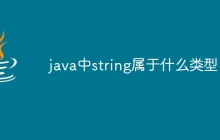 java中string属于什么类型