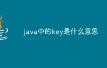 java中的key是什么意思