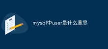 mysql中user是什麼意思