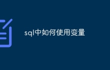 sql中如何使用变量