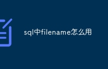 sql中filename怎么用