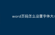 word页码怎么设置字体大小