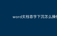 word文档首字下沉怎么操作