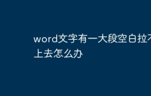 word文字有一大段空白拉不上去怎么办