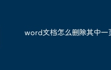 word文档怎么删除其中一页