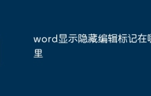 word显示隐藏编辑标记在哪里