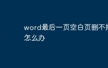 word最后一页空白页删不掉怎么办
