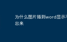 为什么图片插到word显示不出来