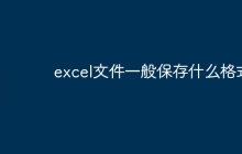 excel文件一般保存什么格式