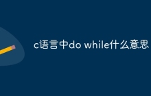 c语言中do while什么意思