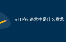 n10在c语言中是什么意思