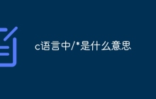 c语言中/*是什么意思