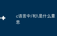 c语言中/和\是什么意思