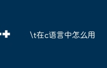 \t在c语言中怎么用