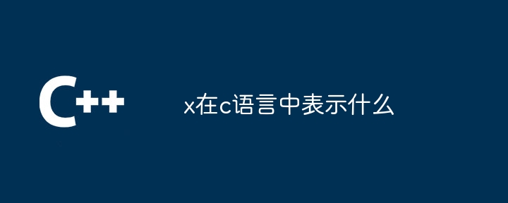 C 언어에서 x는 무엇을 의미하나요?